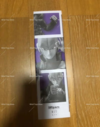 Dragon Ball Z Hit S.H.Figuarts Style Action Figure